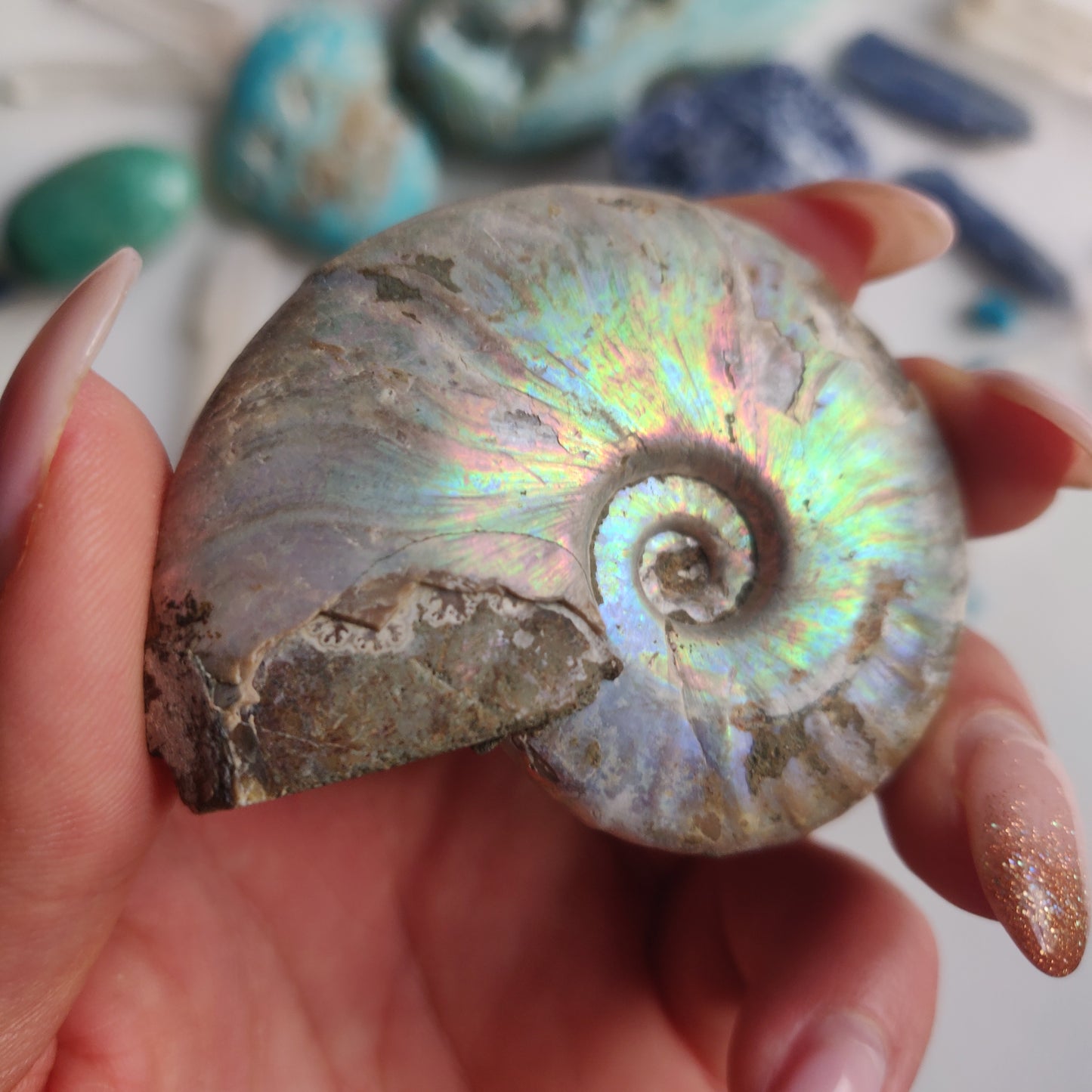 Ammonite, Opalized Ammonite (#15) - Simply Affinity