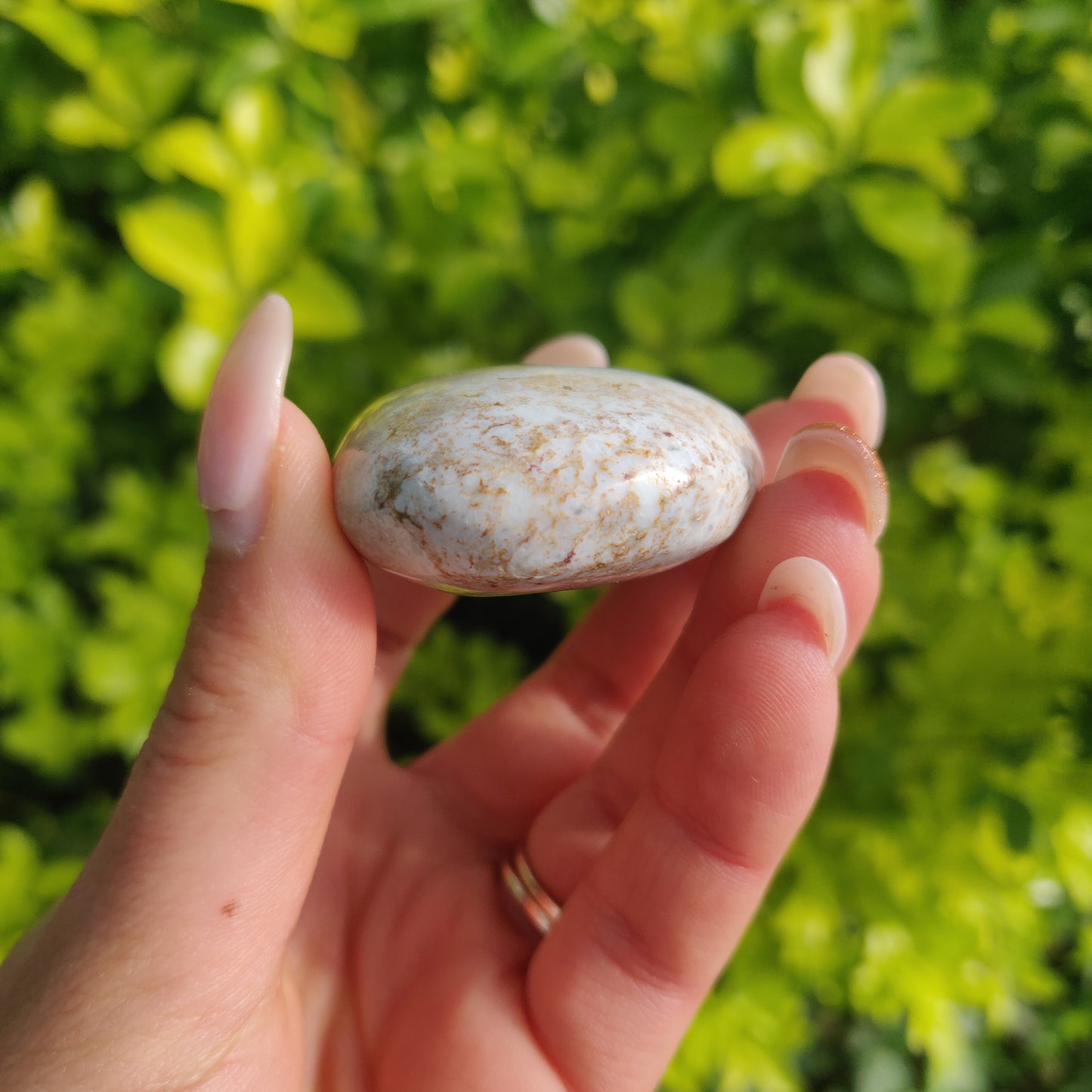Ocean Jasper Palm Stone (#3) - Simply Affinity