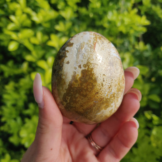 Ocean Jasper Palm Stone (#12) - Simply Affinity