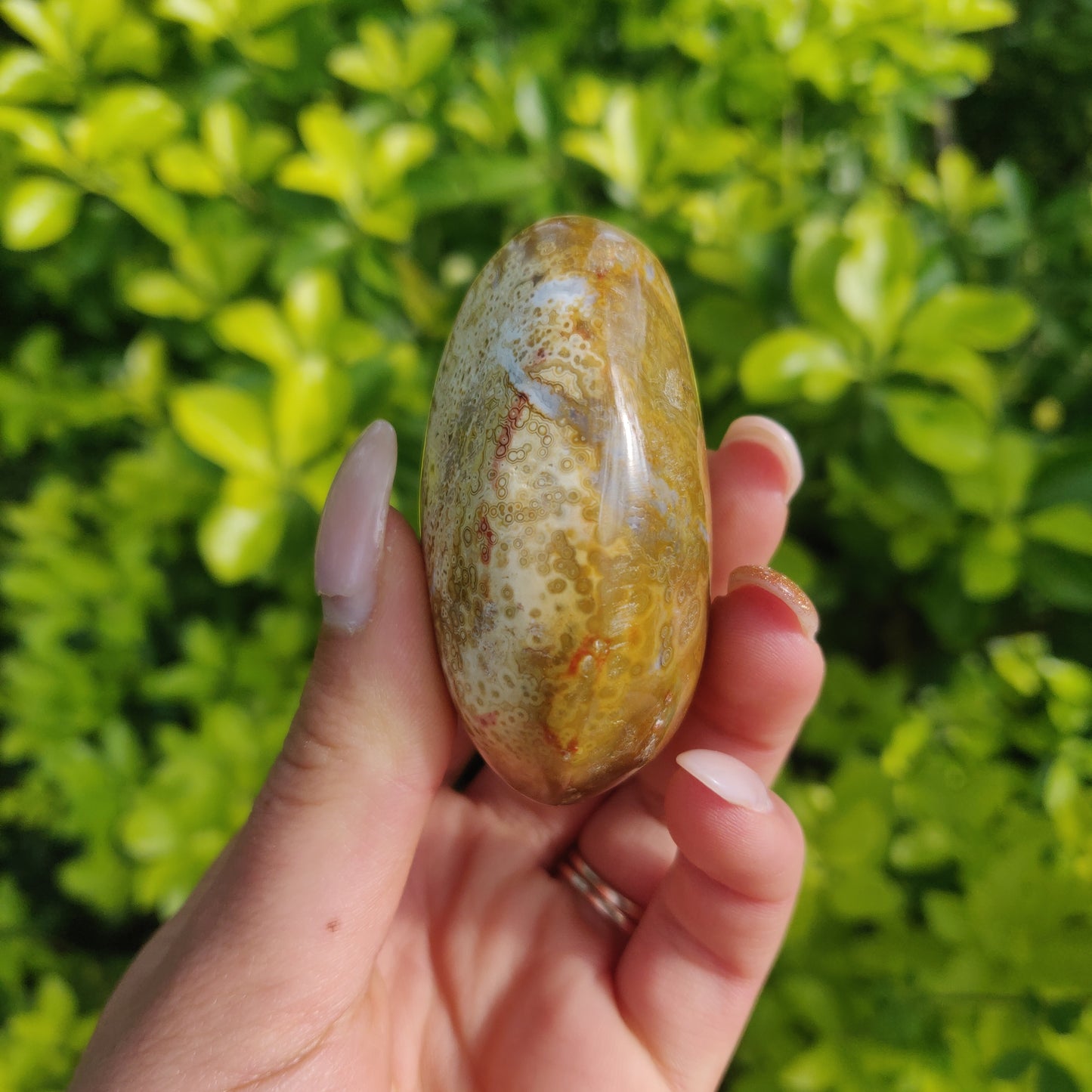 Ocean Jasper Palm Stone (#12) - Simply Affinity