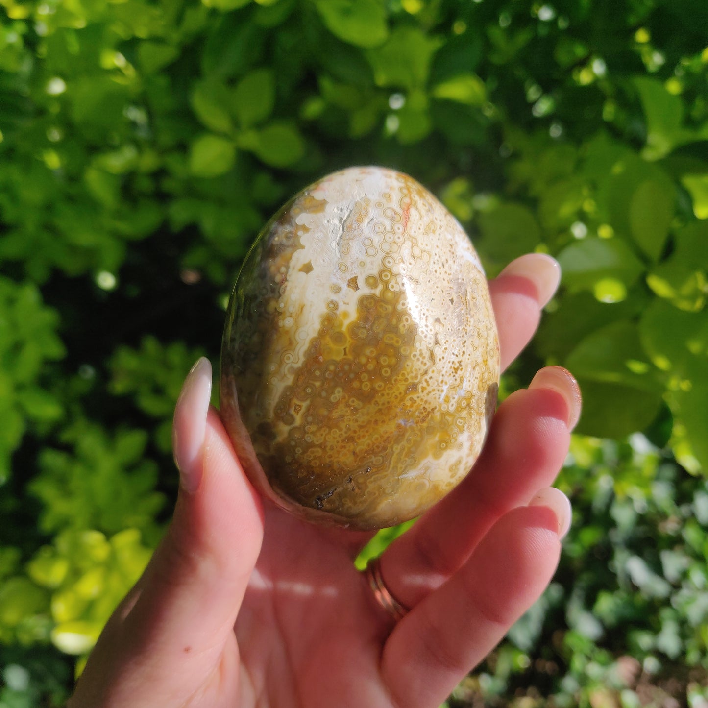 Ocean Jasper Palm Stone (#12) - Simply Affinity