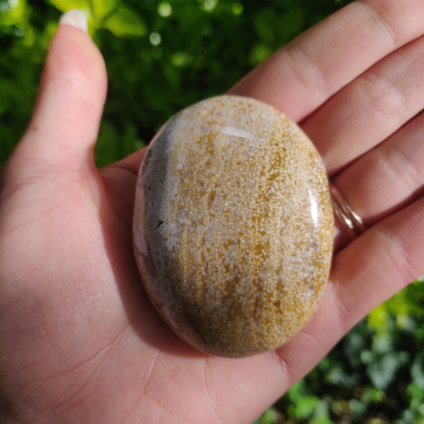 Ocean Jasper Palm Stone (#24) - Simply Affinity