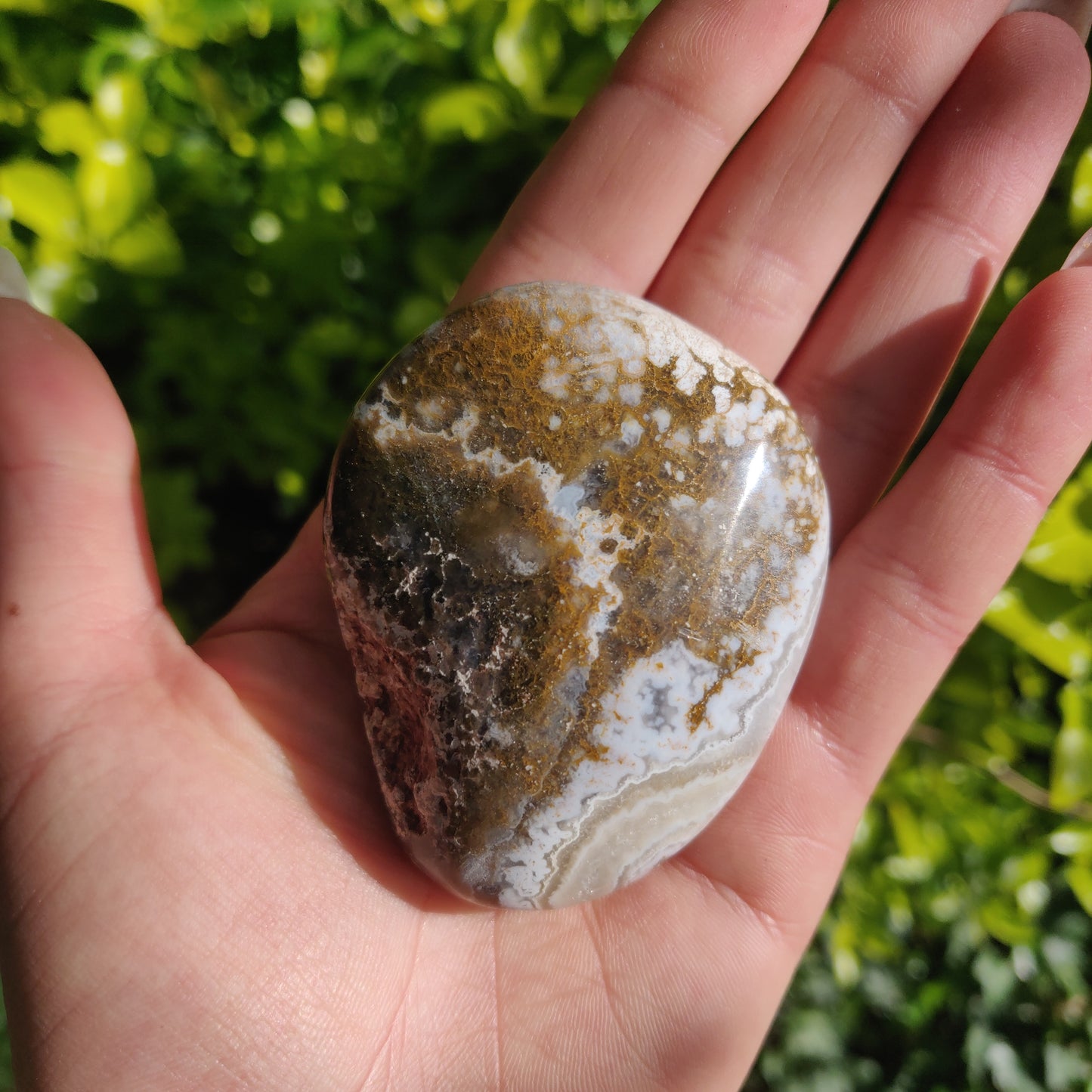 Ocean Jasper Palm Stone (#61) - Simply Affinity