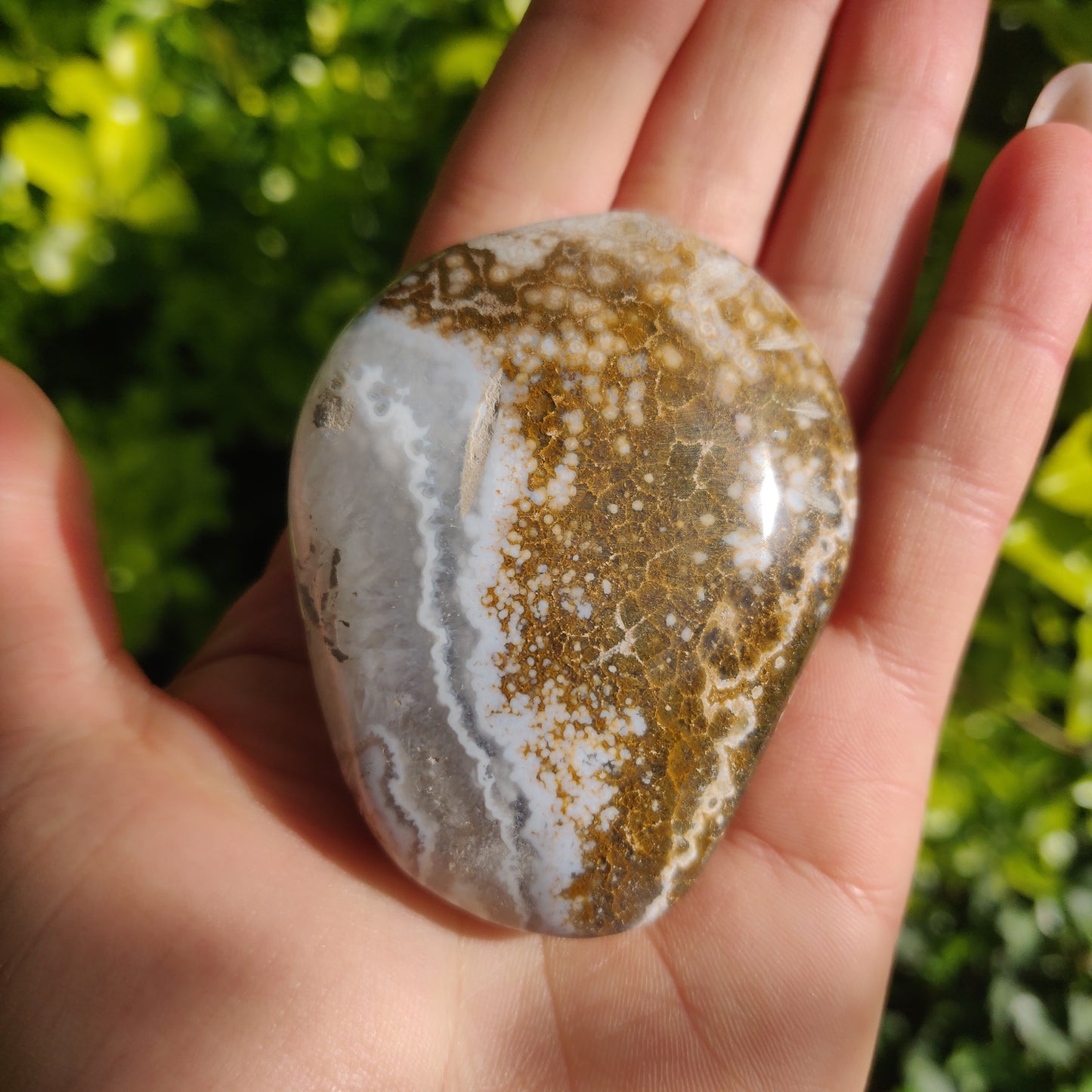 Ocean Jasper Palm Stone (#61) - Simply Affinity