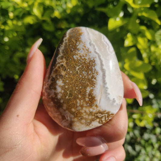 Ocean Jasper Palm Stone (#61) - Simply Affinity