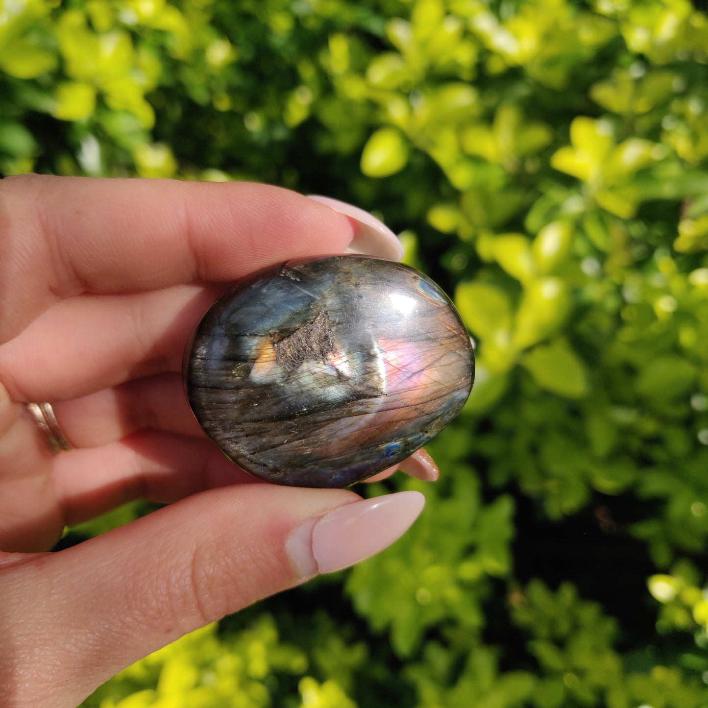 Labradorite Palm Stone (#286) - Simply Affinity