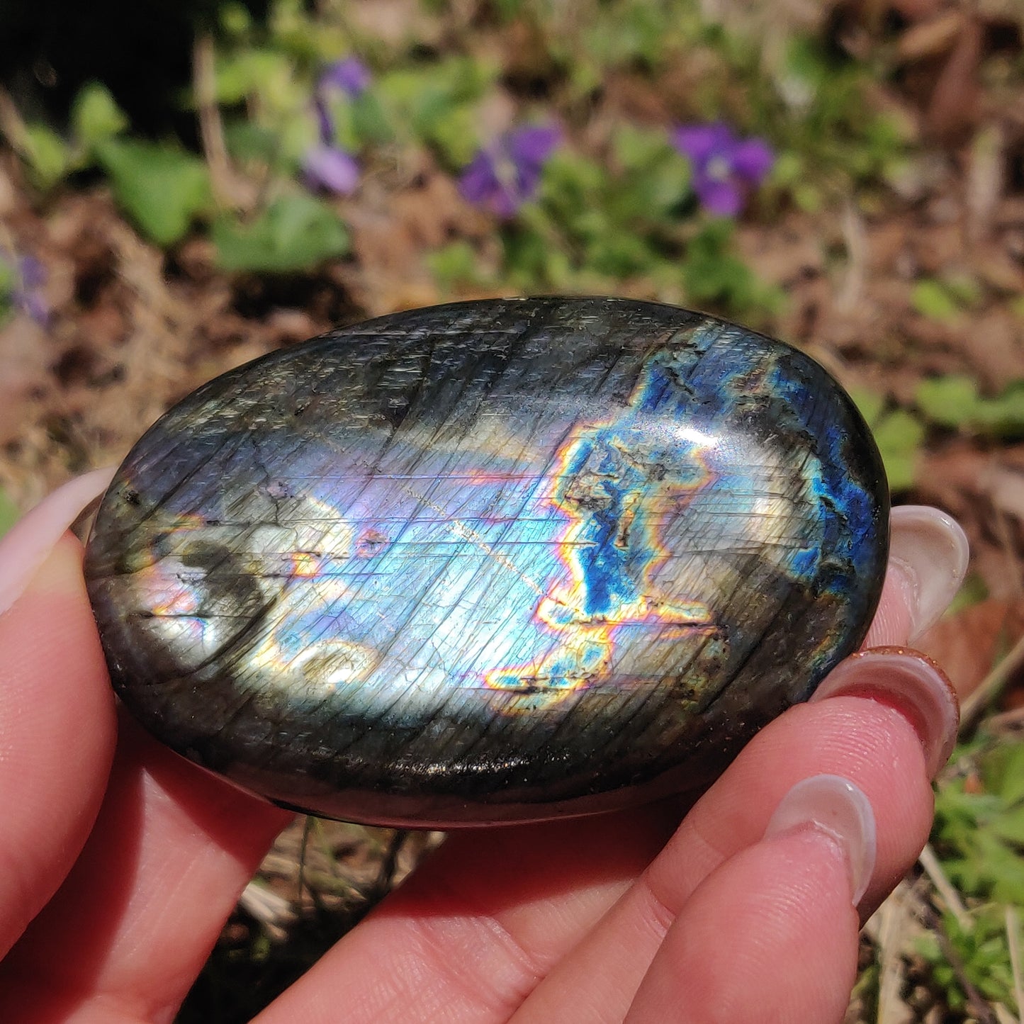 Labradorite Palm Stone (#300) - Simply Affinity