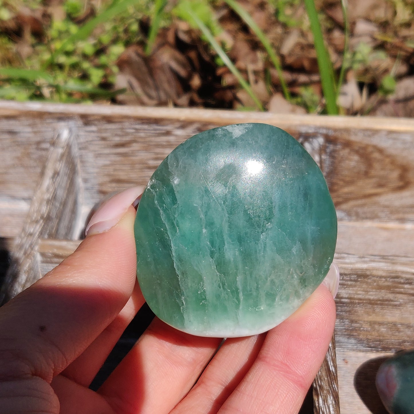 Fluorite Palm Stone (#23) - Simply Affinity