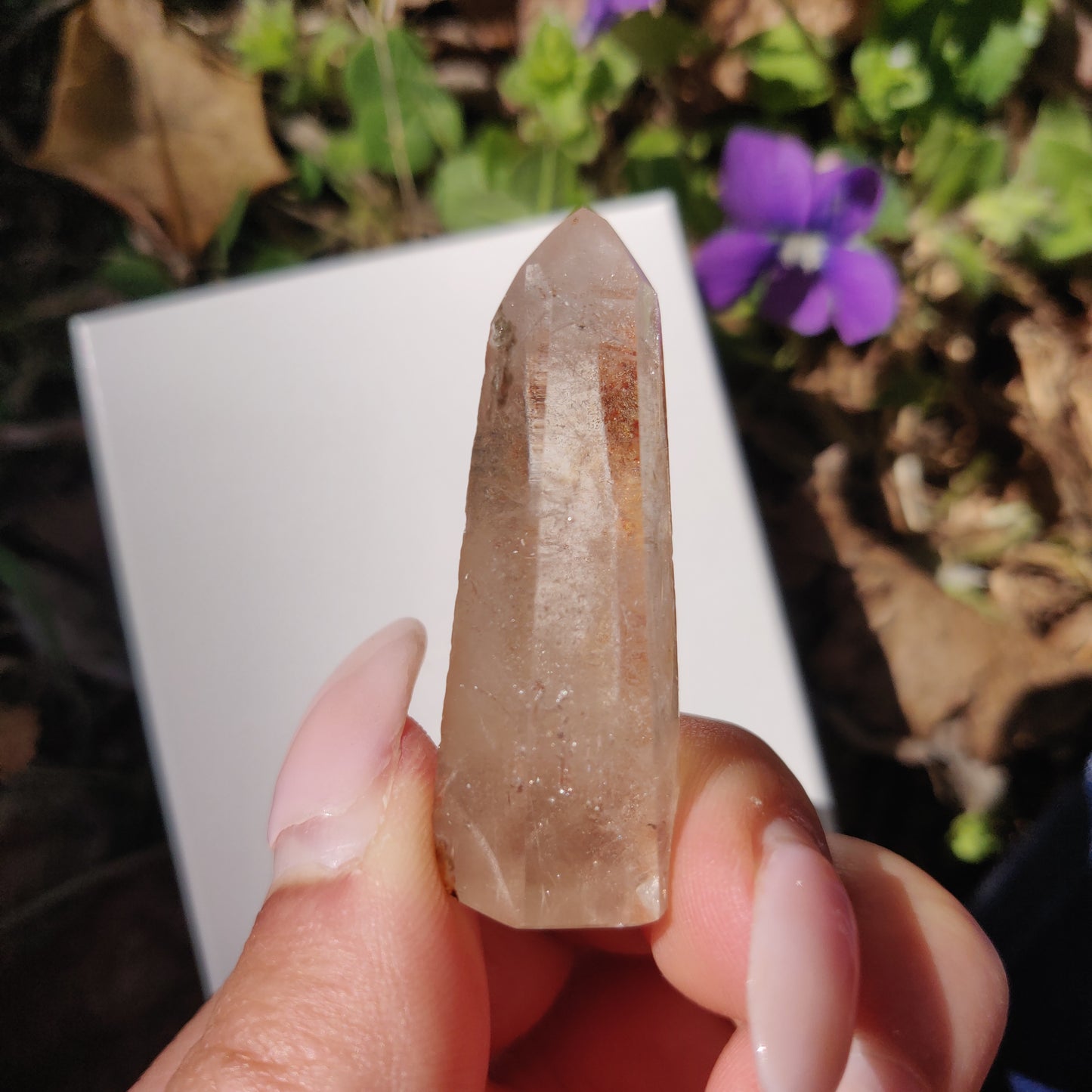 Garden Quartz Point, Lodolite Point (#11G) - Simply Affinity