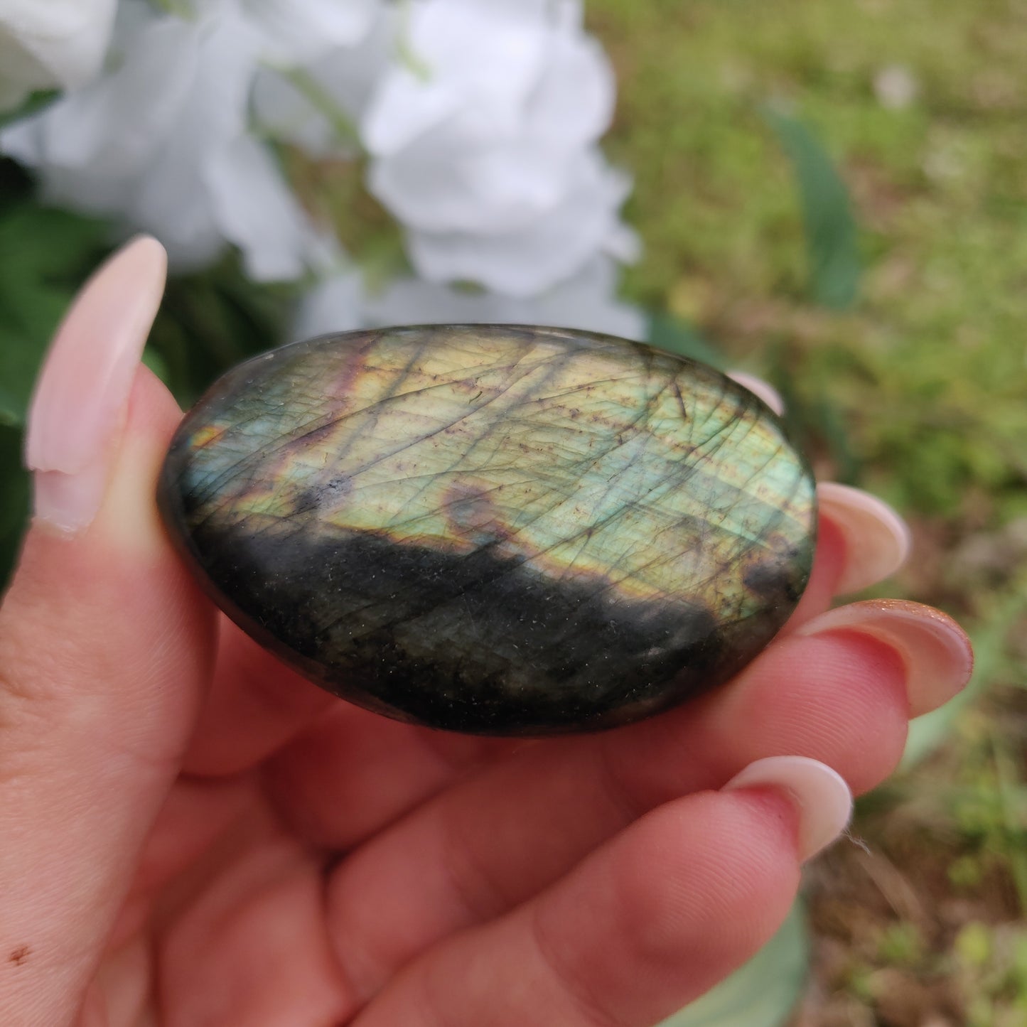 Labradorite Palm Stone (#281) - Simply Affinity