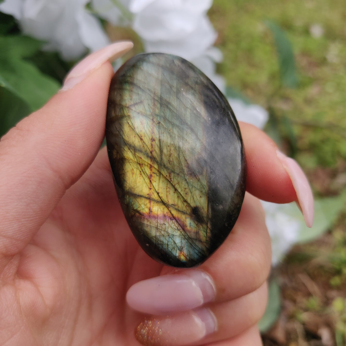 Labradorite Palm Stone (#281) - Simply Affinity
