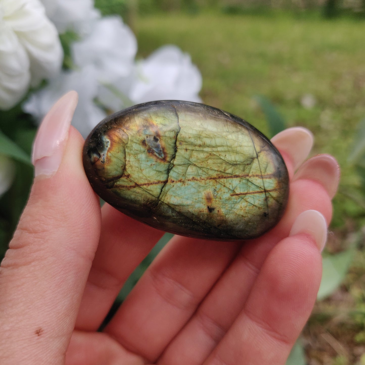 Labradorite Palm Stone (#284) - Simply Affinity