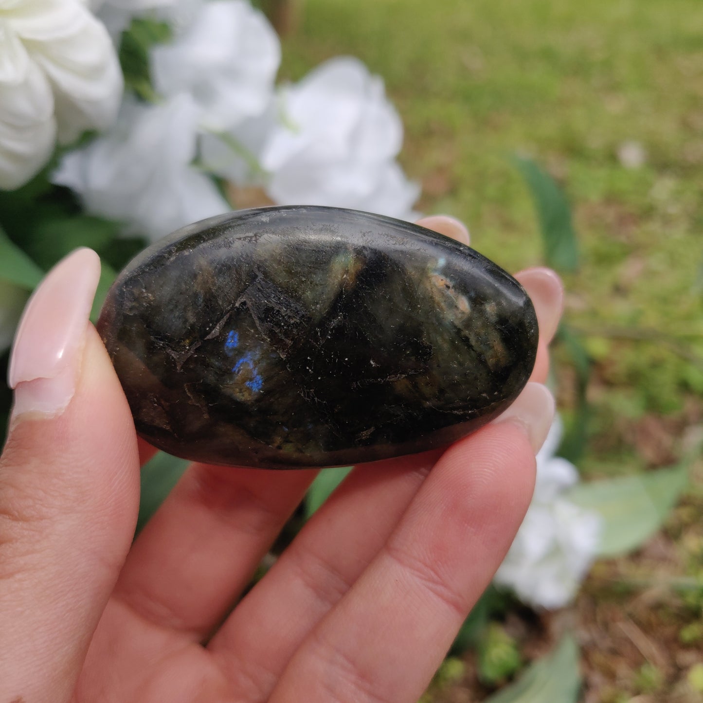 Labradorite Palm Stone (#288) - Simply Affinity
