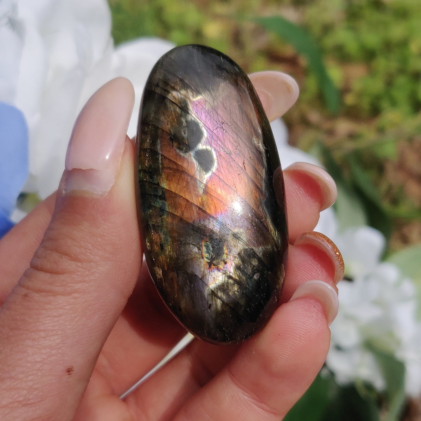 Labradorite Palm Stone (#304) - Simply Affinity