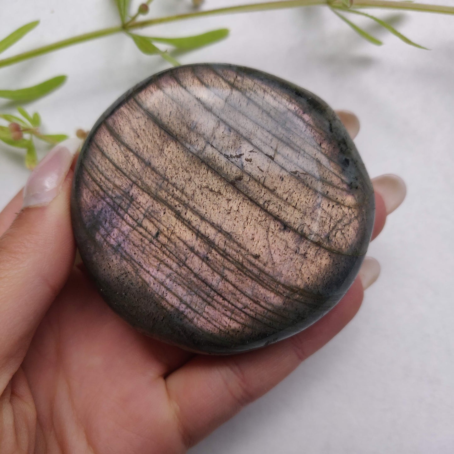 Labradorite Palm Stone (#298) - Simply Affinity
