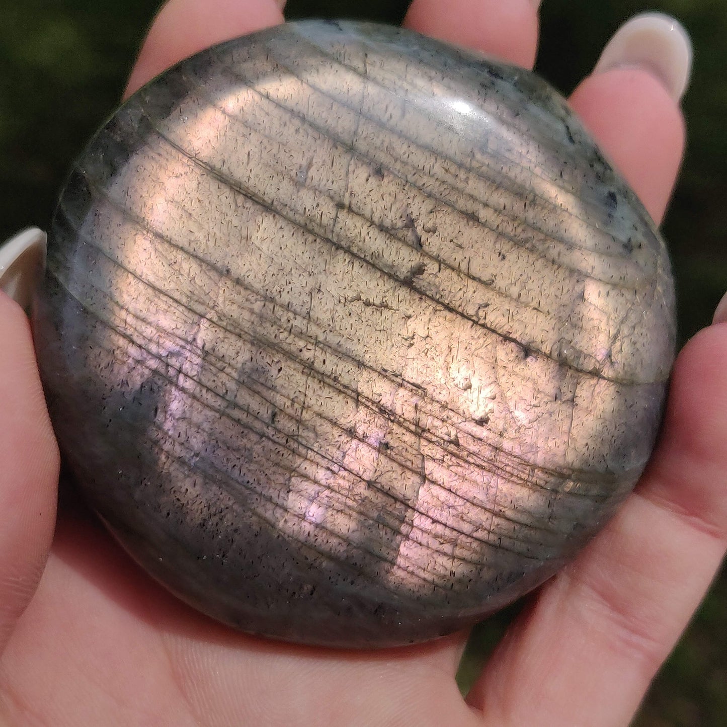 Labradorite Palm Stone (#298) - Simply Affinity