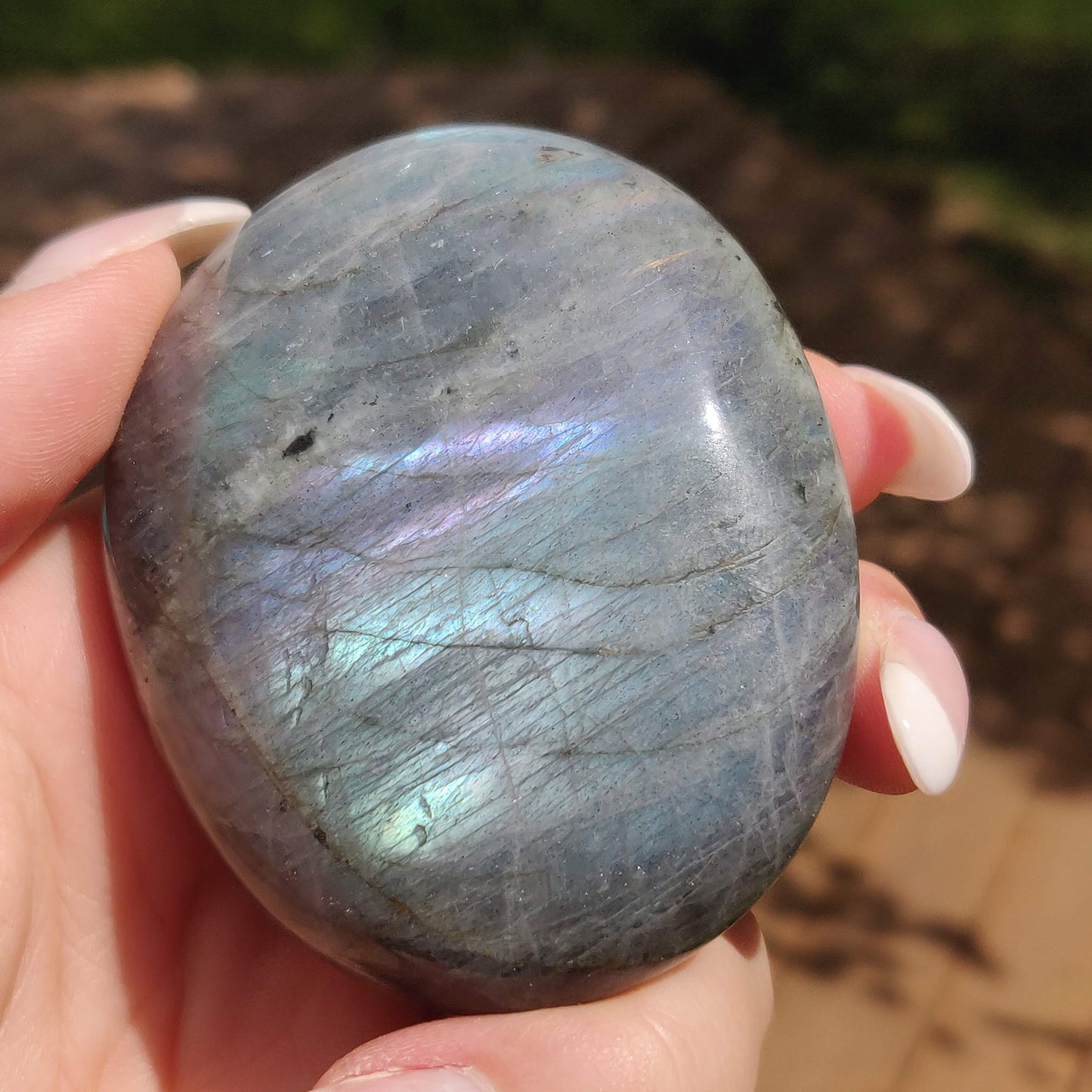 Labradorite Palm Stone (#311) - Simply Affinity