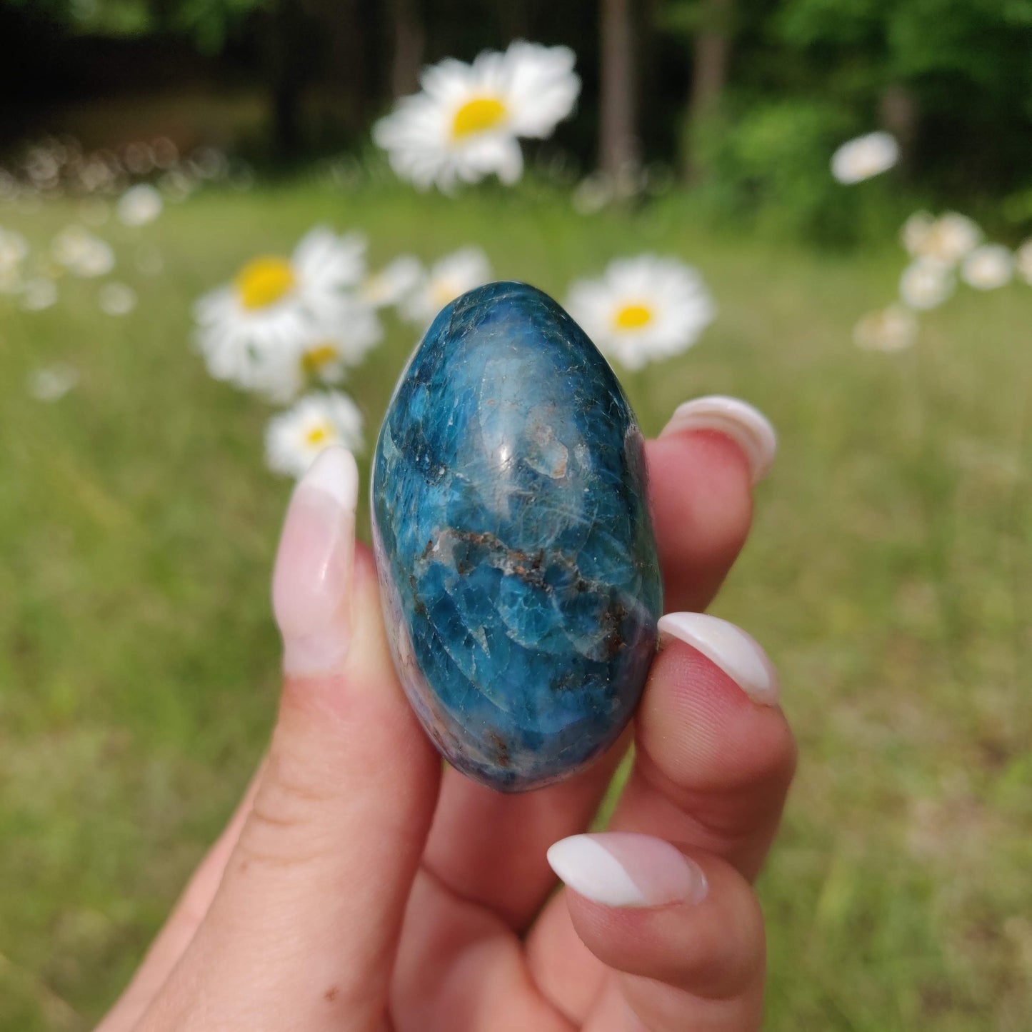 Blue Apatite Palm Stone (#2) - Simply Affinity