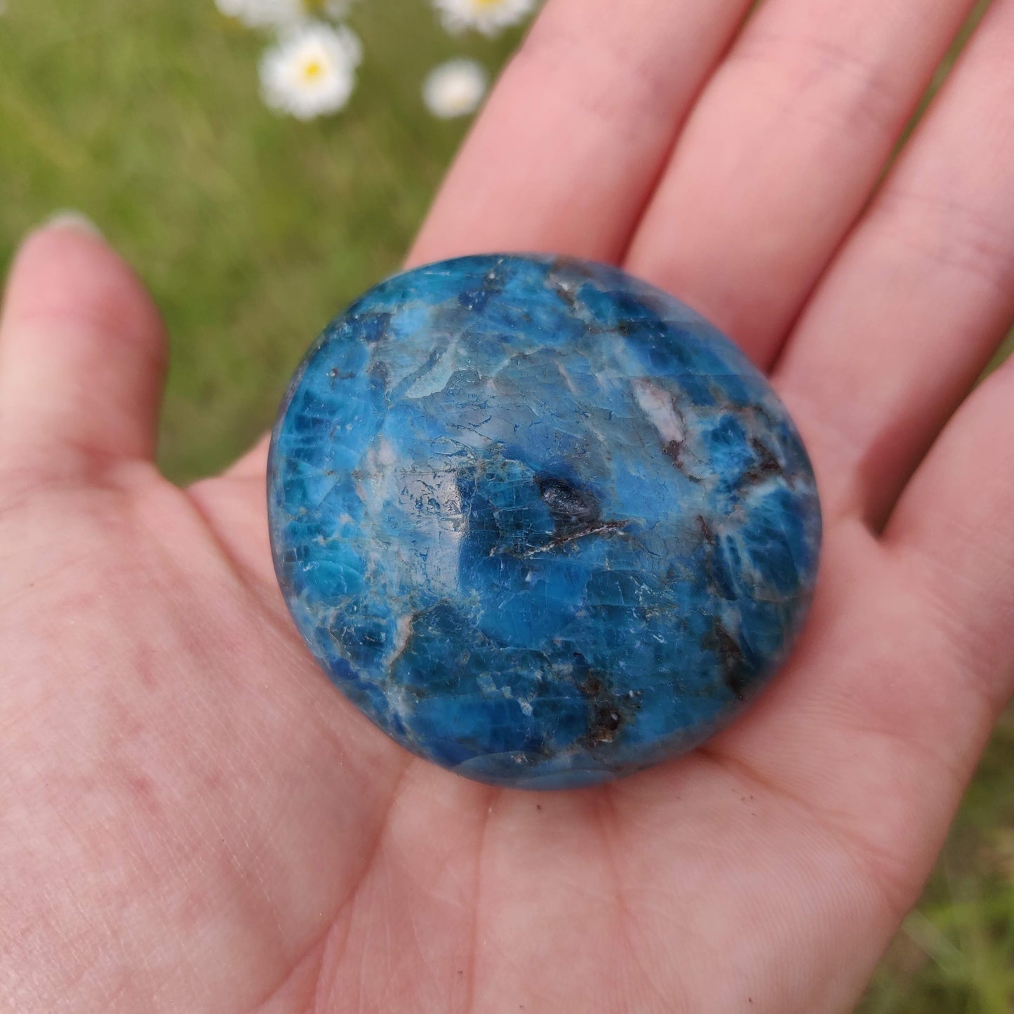 Blue Apatite Palm Stone (#2) - Simply Affinity