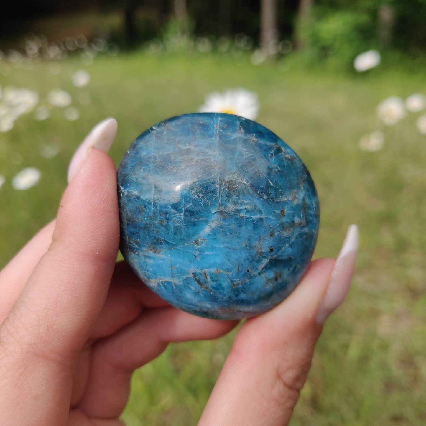 Blue Apatite Palm Stone (#2) - Simply Affinity
