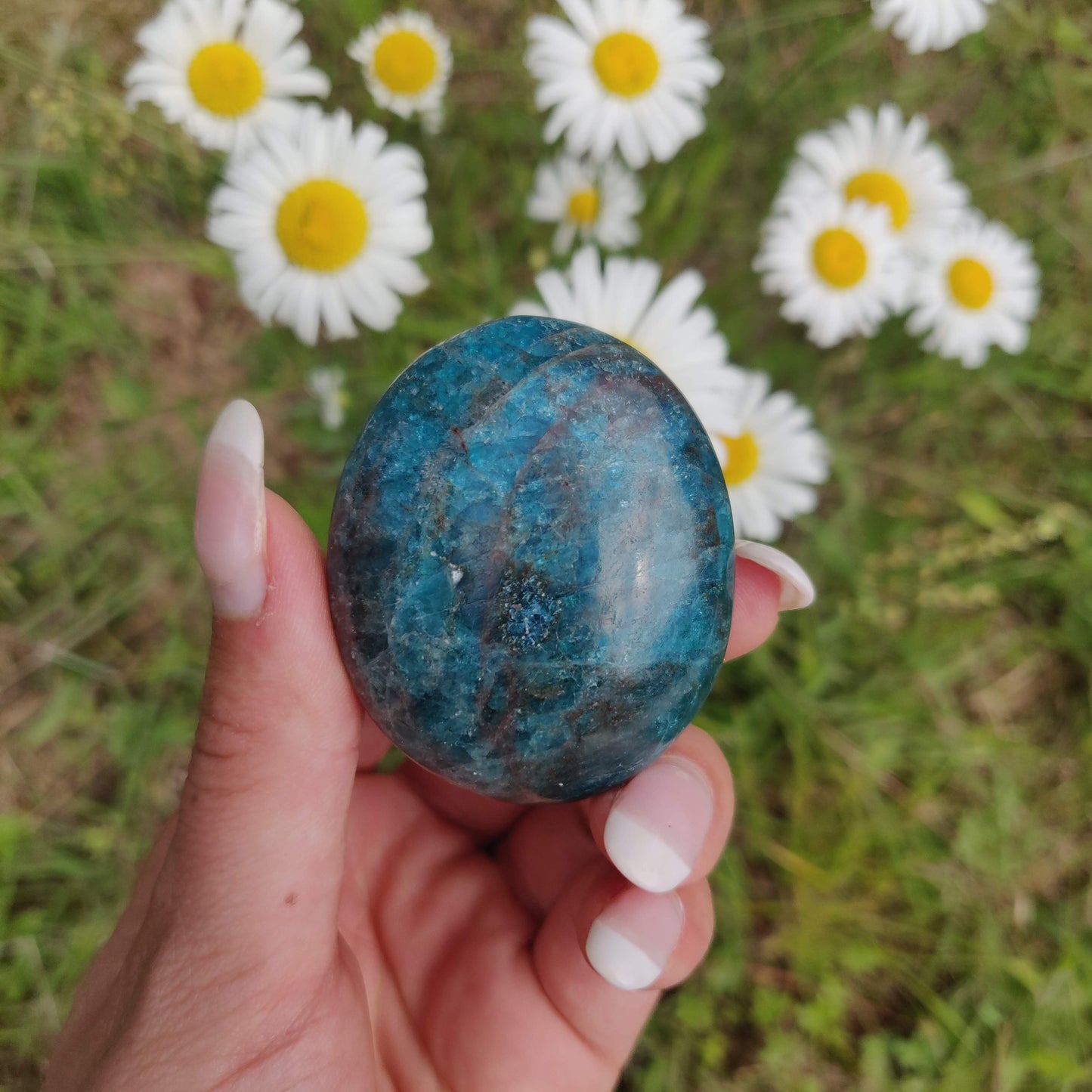 Blue Apatite Palm Stone (#7) - Simply Affinity
