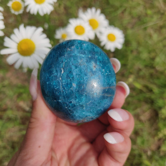 Blue Apatite Palm Stone (#14) - Simply Affinity