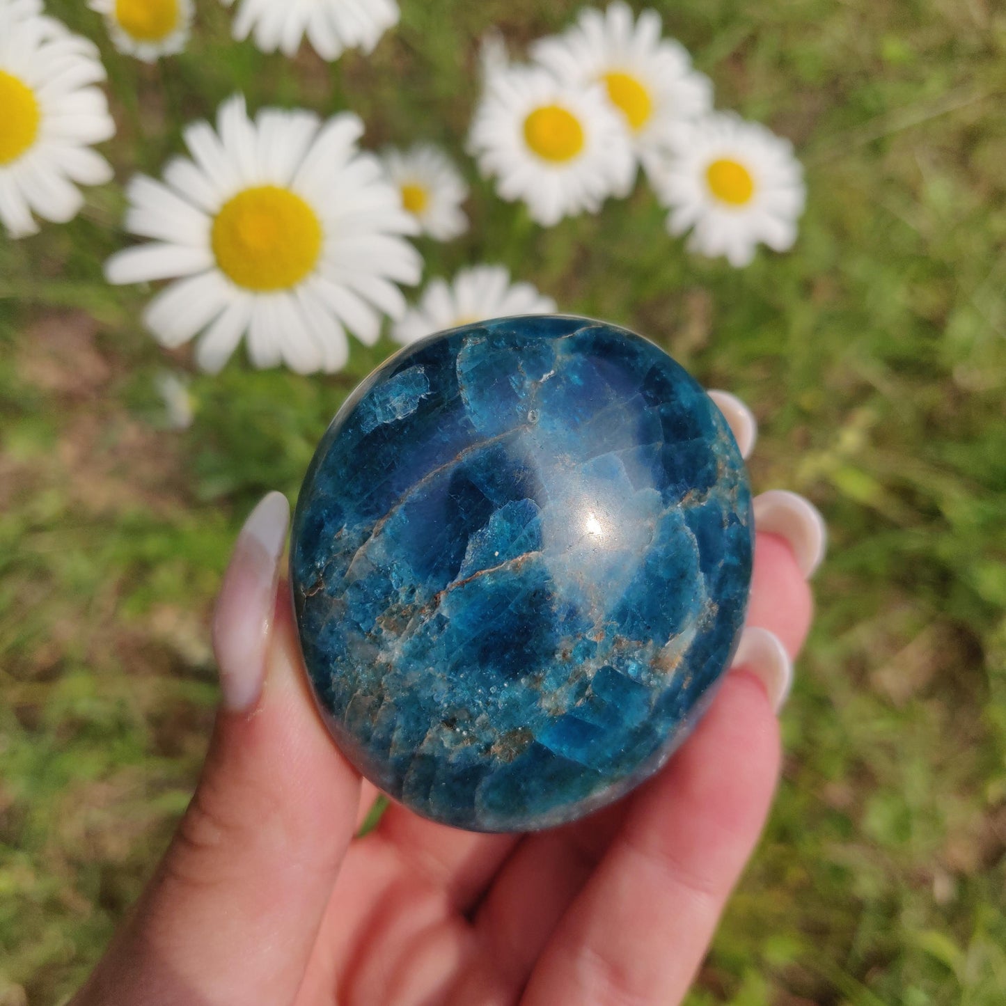 Blue Apatite Palm Stone (#15) - Simply Affinity