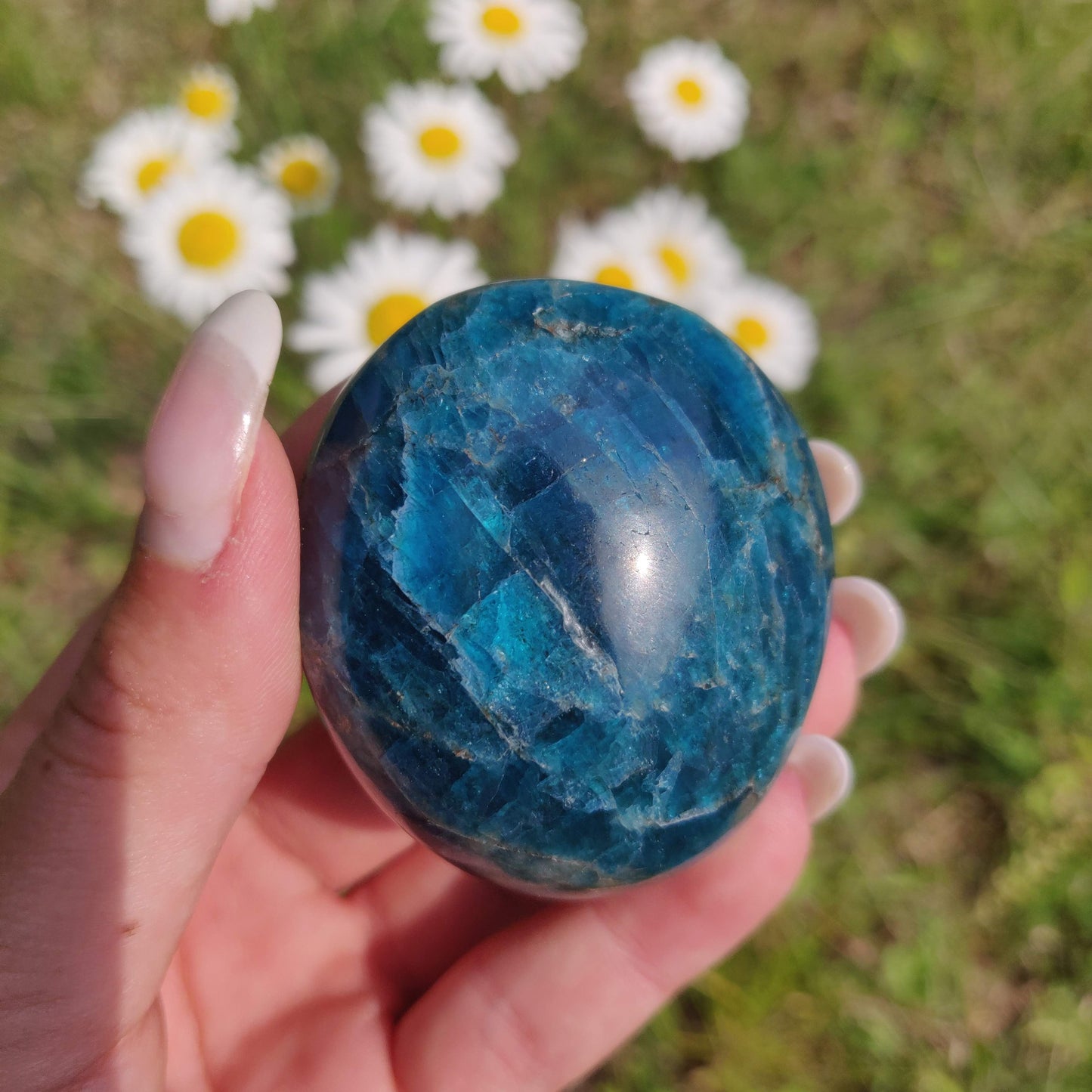 Blue Apatite Palm Stone (#15) - Simply Affinity