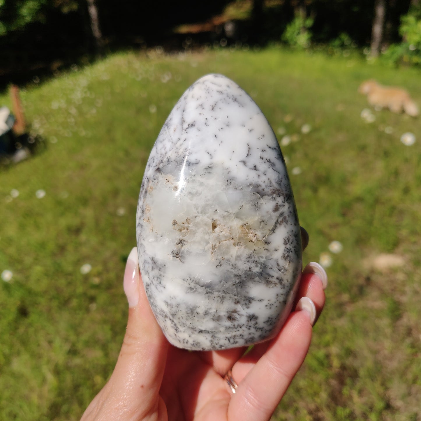 Purple Dendritic Opal Free Form (#1) - Simply Affinity