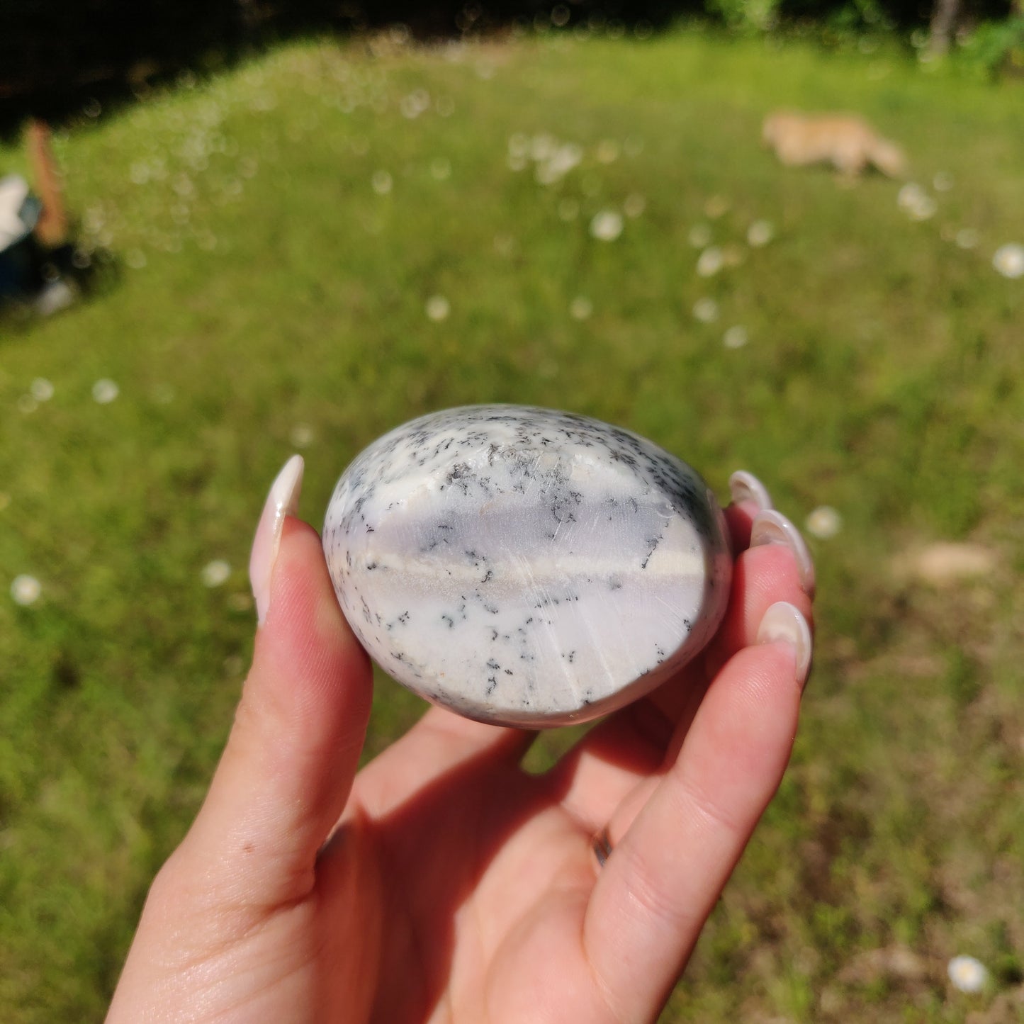 Purple Dendritic Opal Free Form (#1) - Simply Affinity