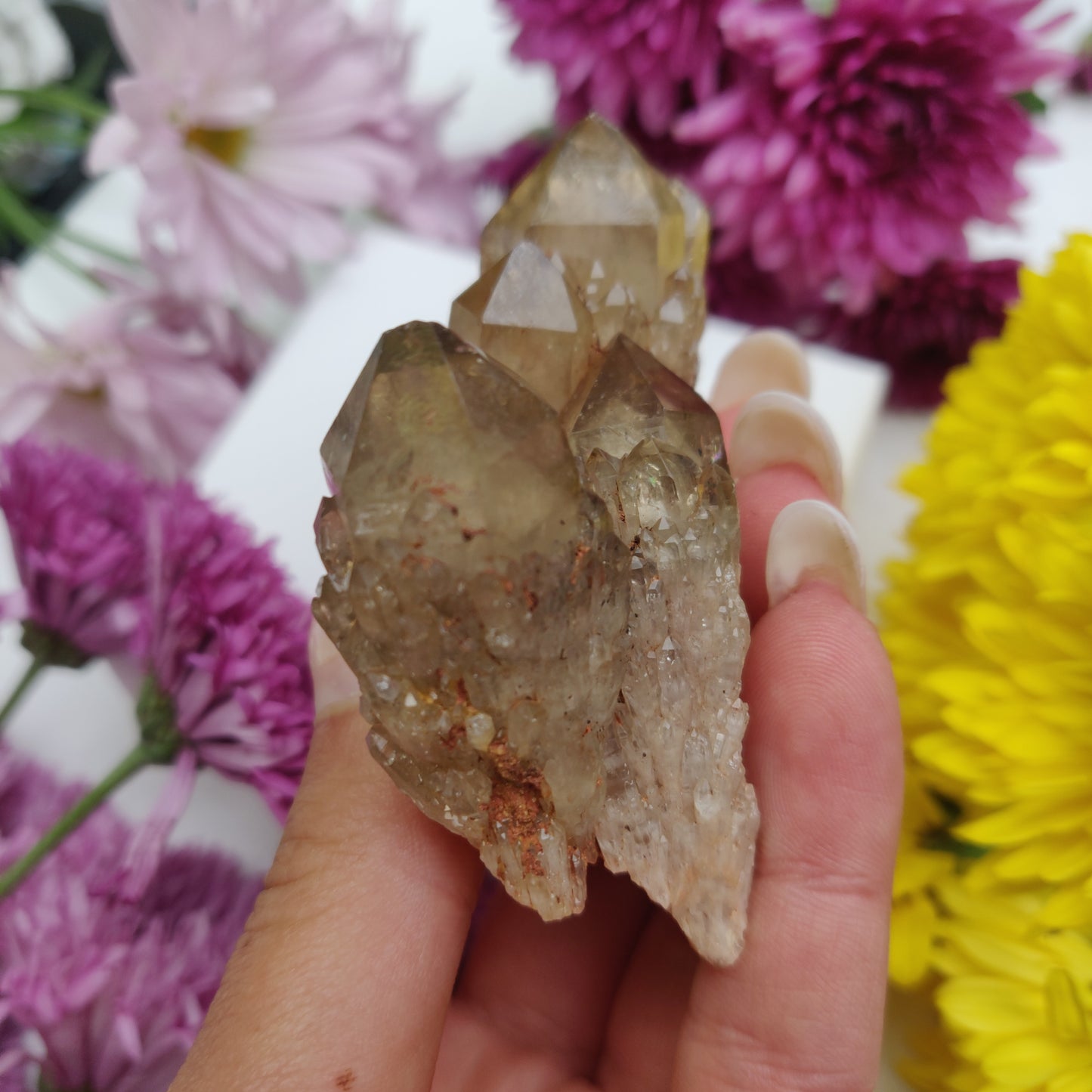 Congo Citrine Cluster (#1) - Simply Affinity