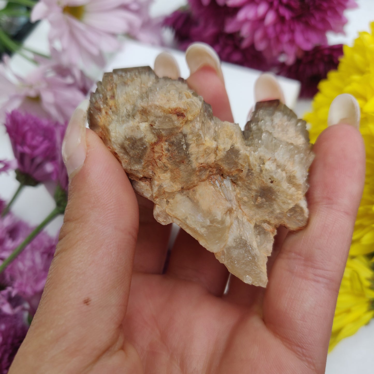 Congo Citrine Cluster (#1) - Simply Affinity