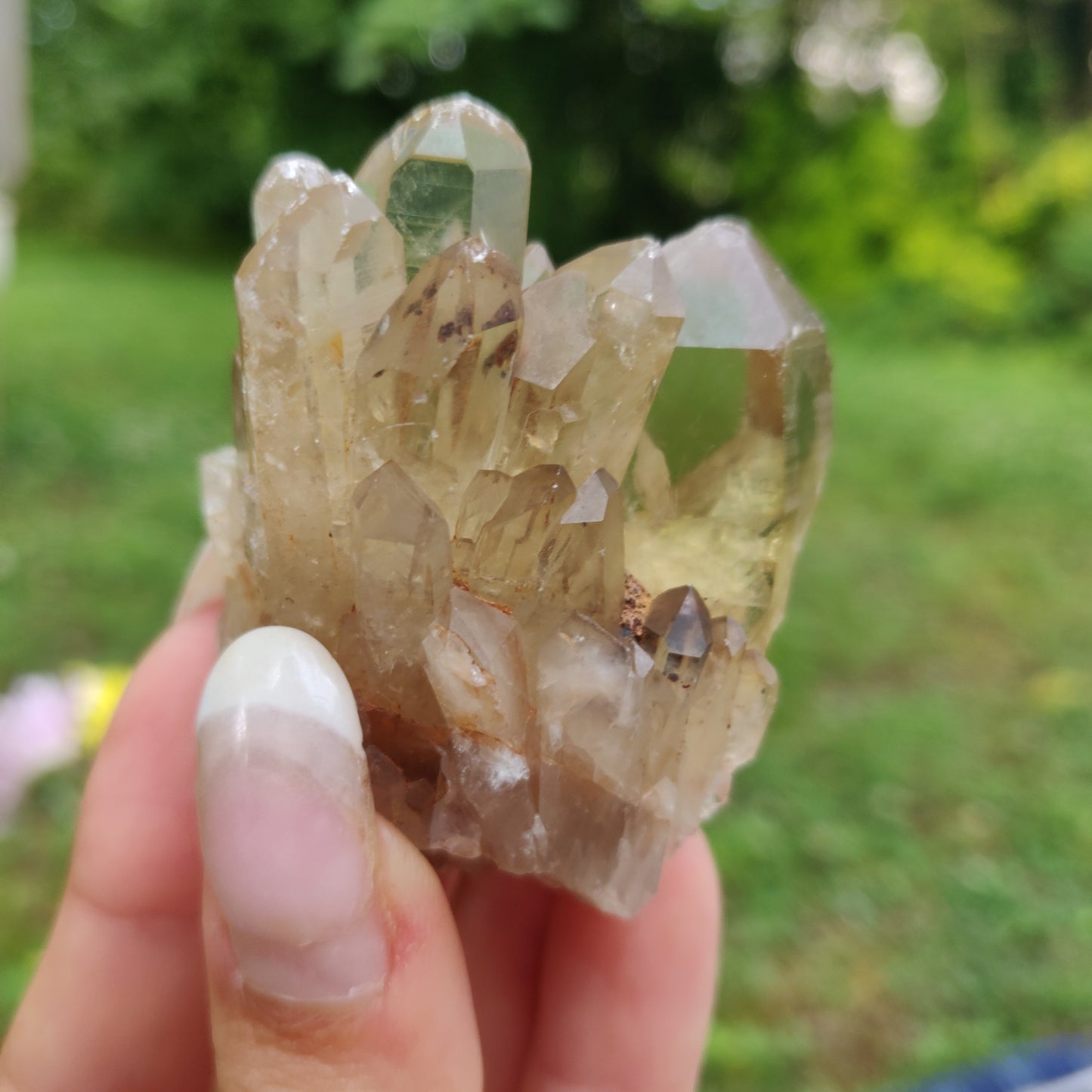 Congo Citrine Point (#2) - Simply Affinity