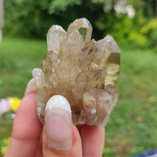 Congo Citrine Point (#2) - Simply Affinity