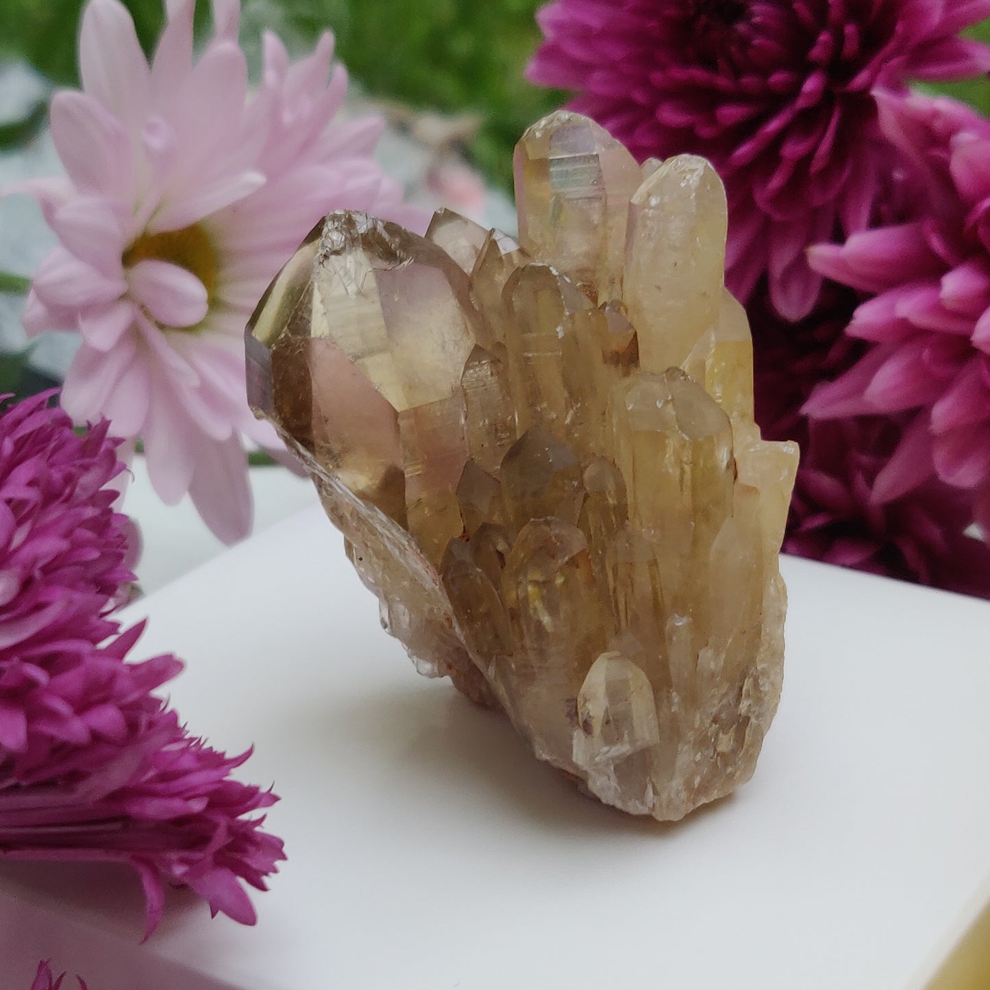 Congo Citrine Point (#2) - Simply Affinity
