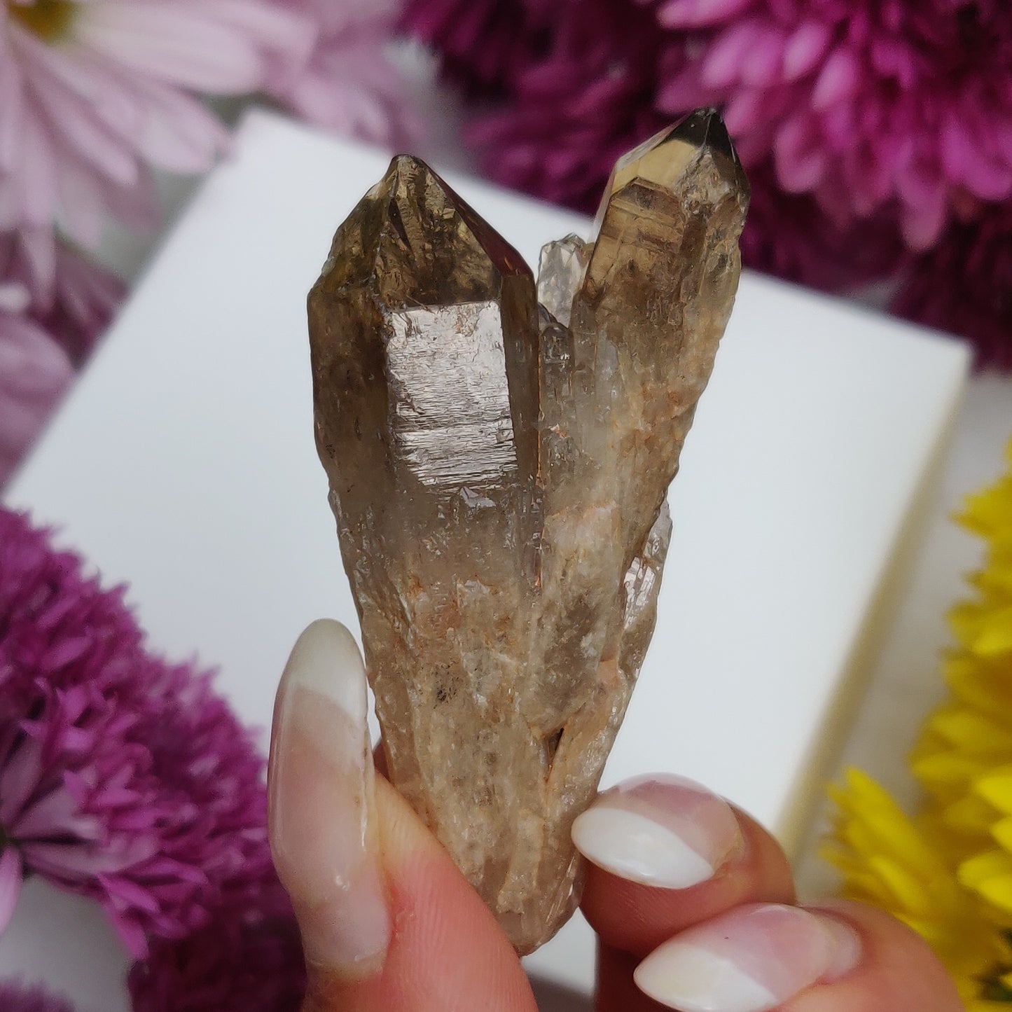 Congo Citrine Point (#4) - Simply Affinity