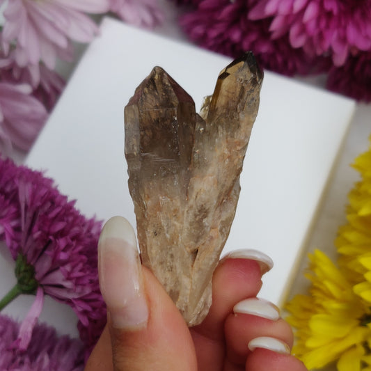 Congo Citrine Point (#4) - Simply Affinity