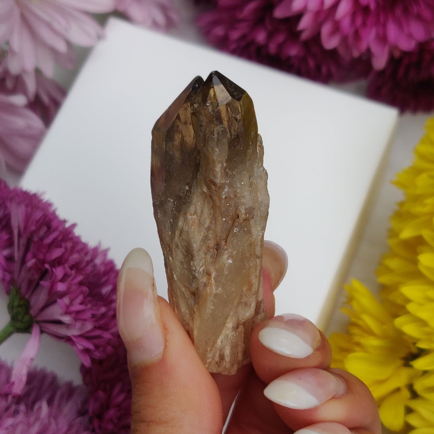 Congo Citrine Point (#4) - Simply Affinity