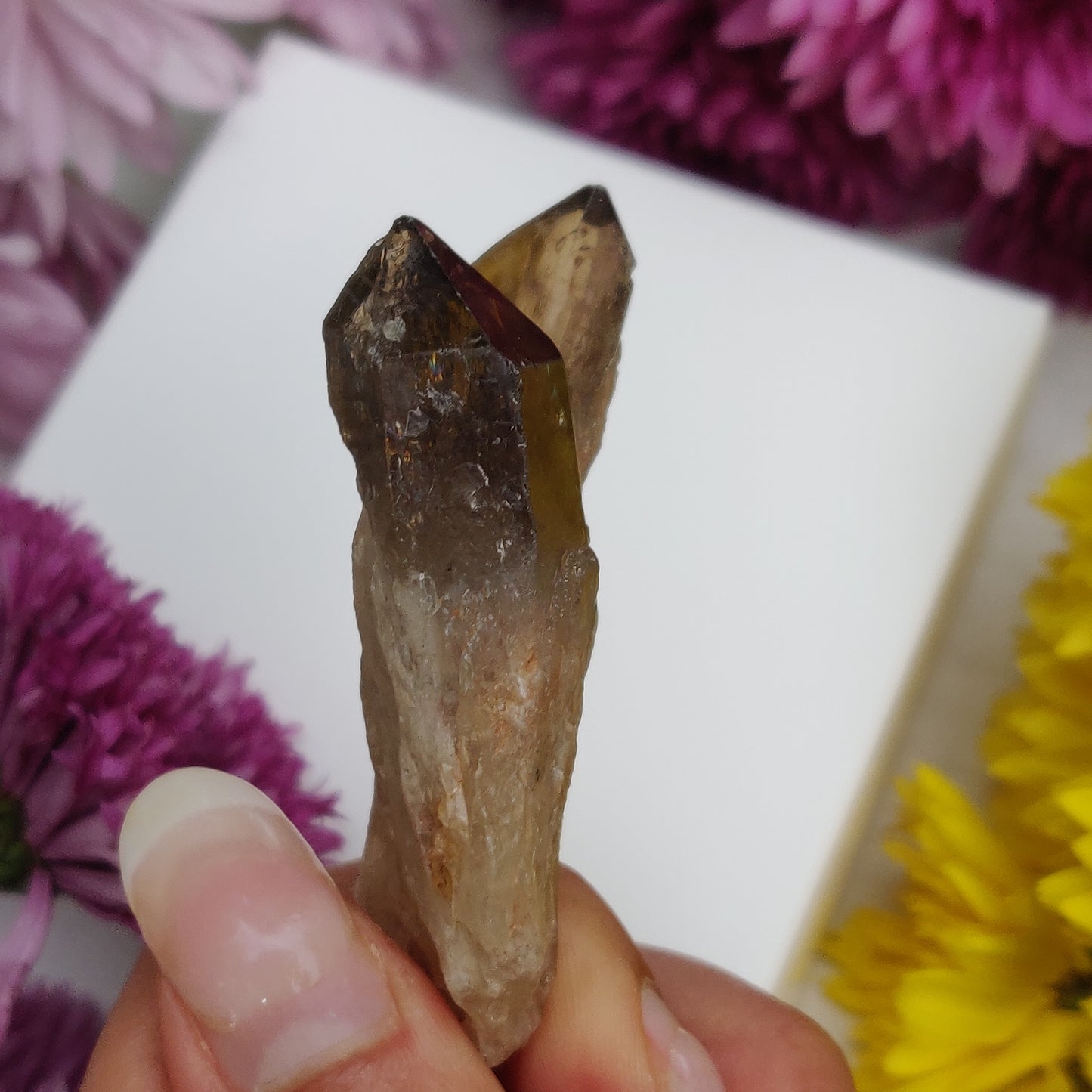 Congo Citrine Point (#4) - Simply Affinity