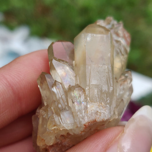 Reserved for Cindy, Congo Citrine Point (#5) - Simply Affinity