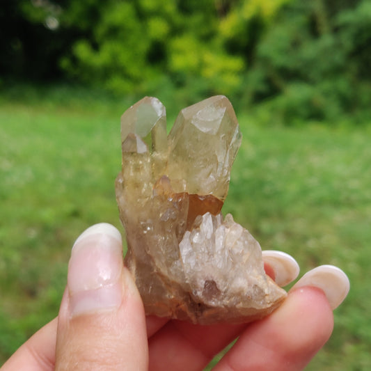 Congo Citrine Point (#6) - Simply Affinity