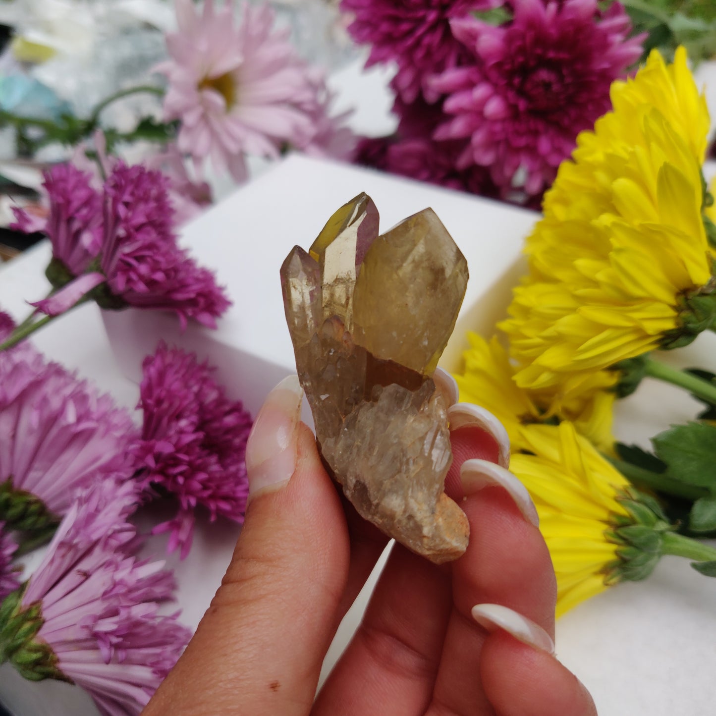 Congo Citrine Point (#6) - Simply Affinity