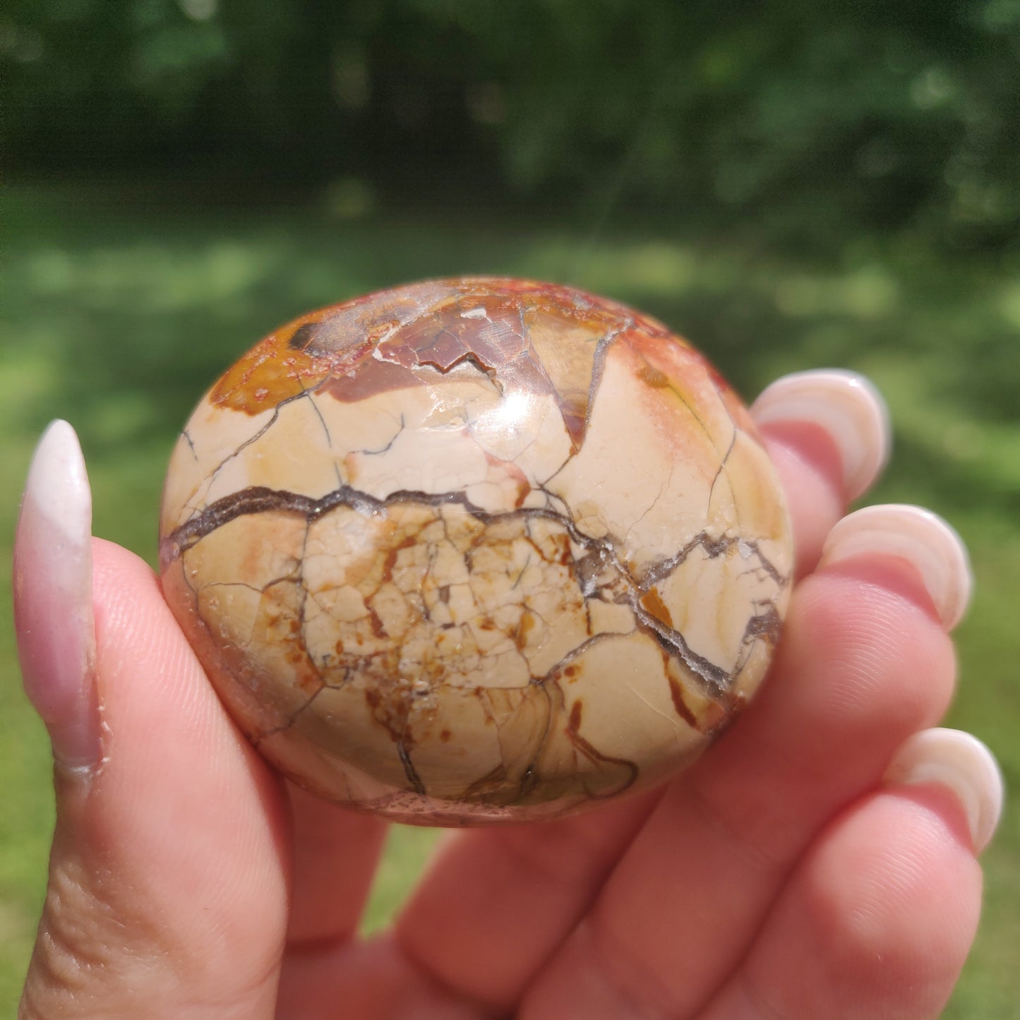 Ibis Jasper Palm Stone (#A2)
