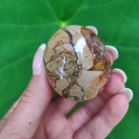 Ibis Jasper Palm Stone (#A2)