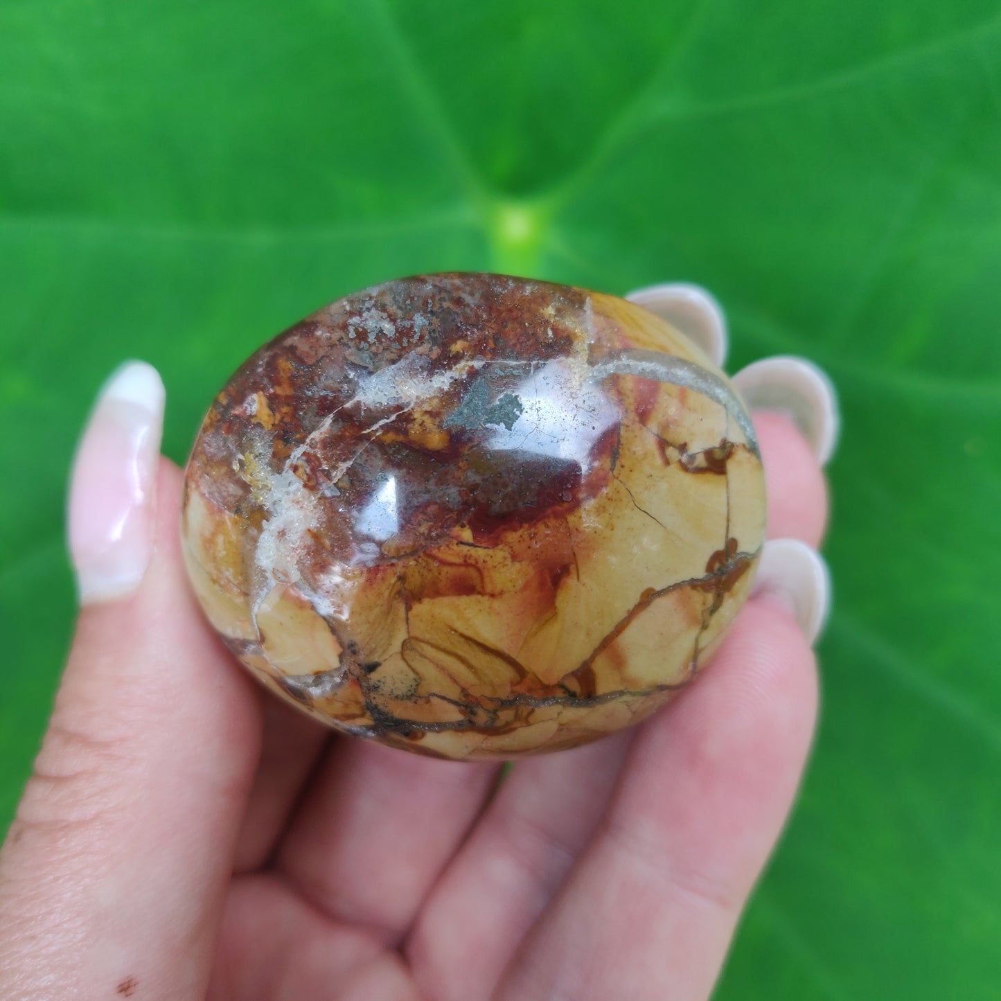 Ibis Jasper Palm Stone (#A2)