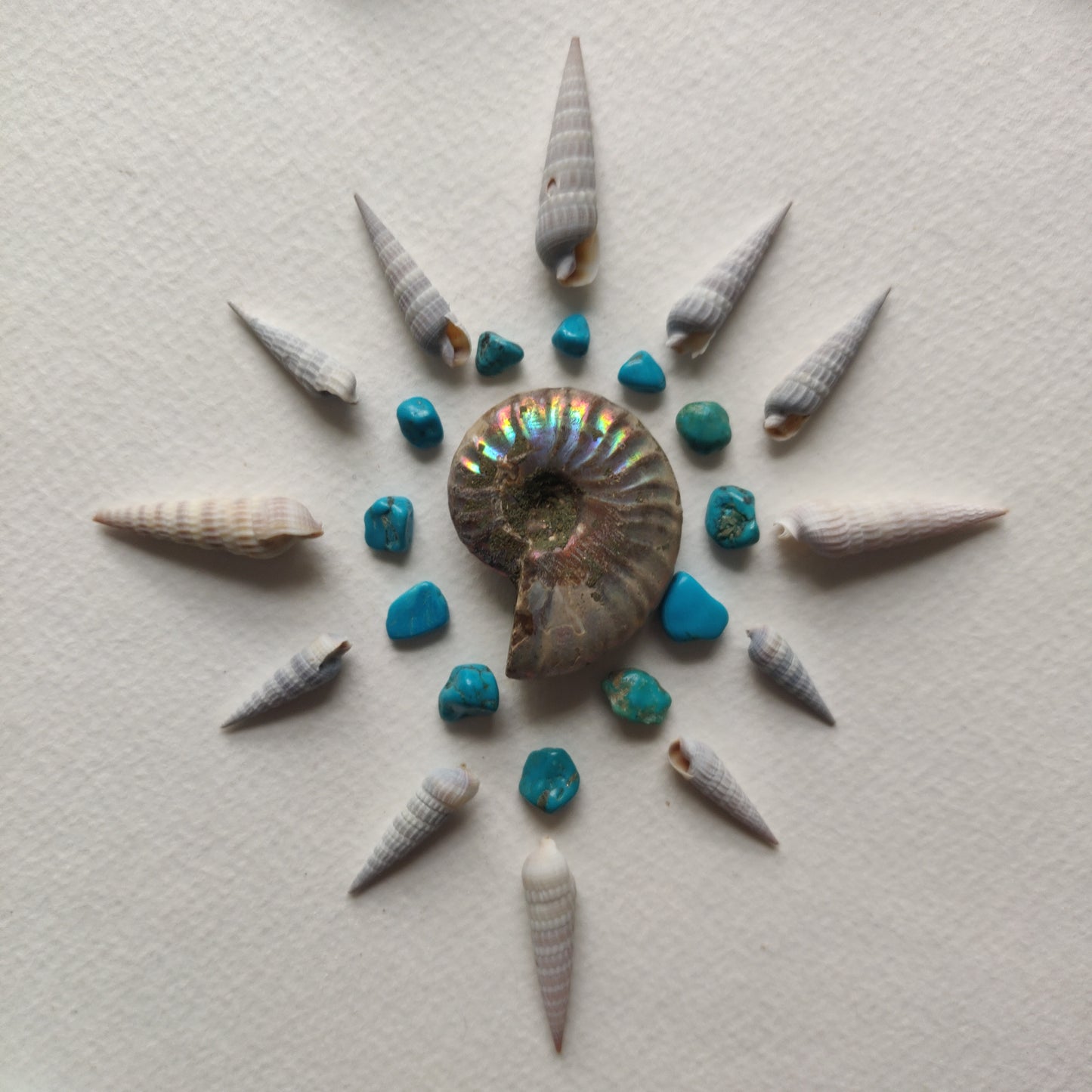 Small Opalized Ammonite (#20) - Simply Affinity