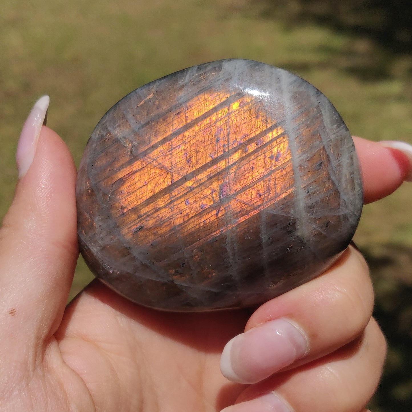 Labradorite Palm Stone (#318) - Simply Affinity