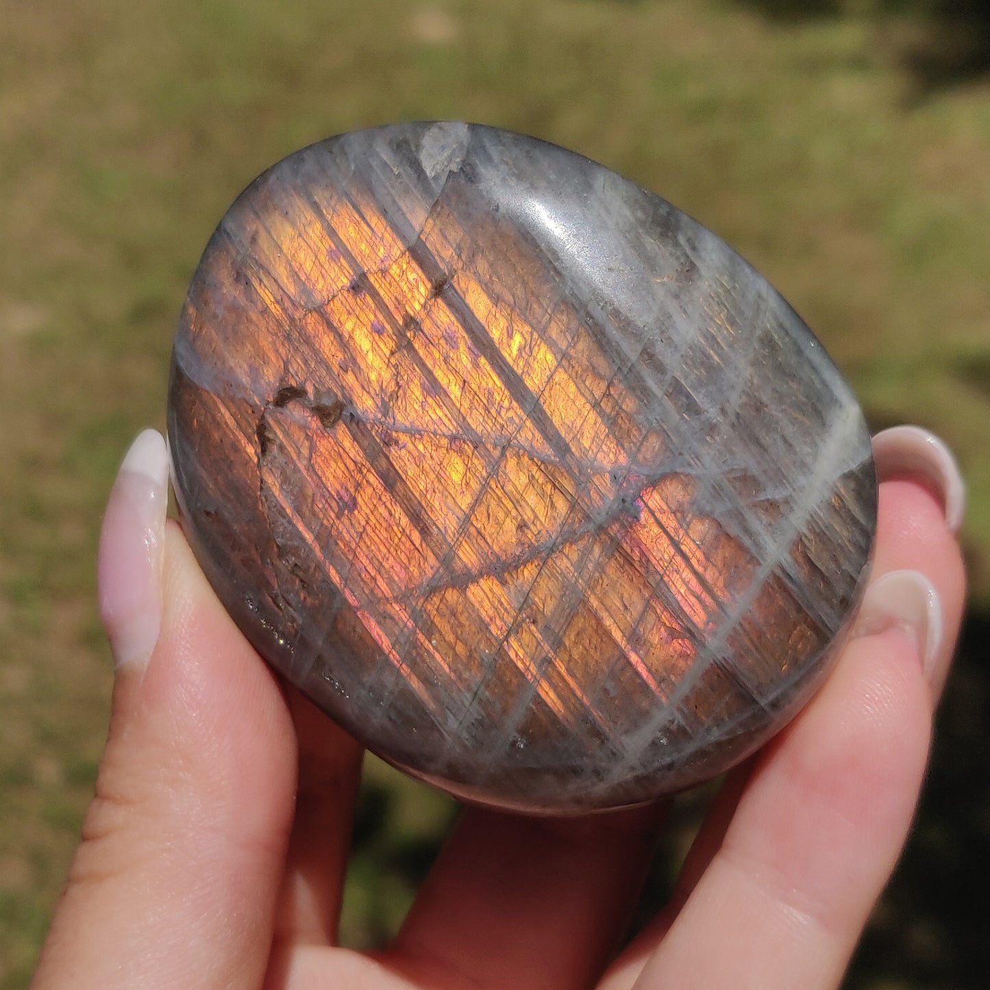 Labradorite Palm Stone (#318) - Simply Affinity