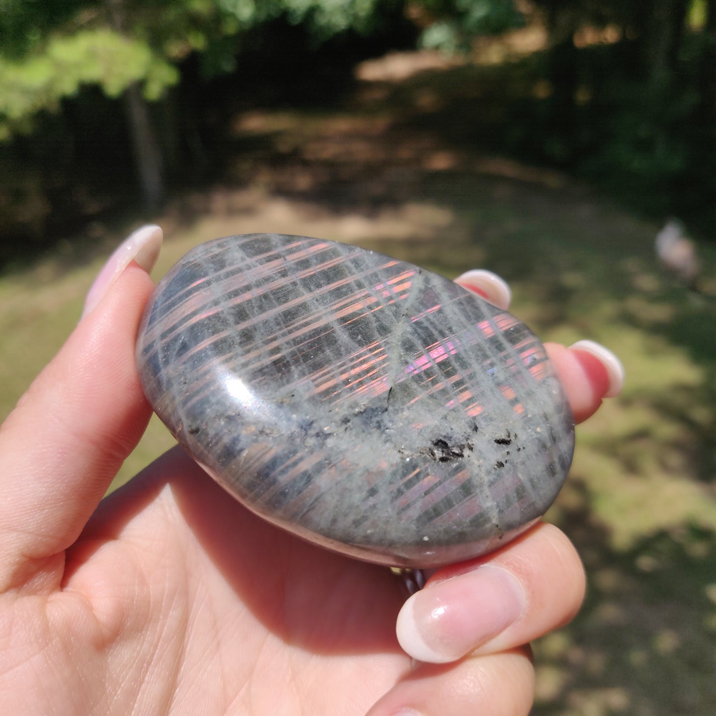 Labradorite Palm Stone (#322) - Simply Affinity