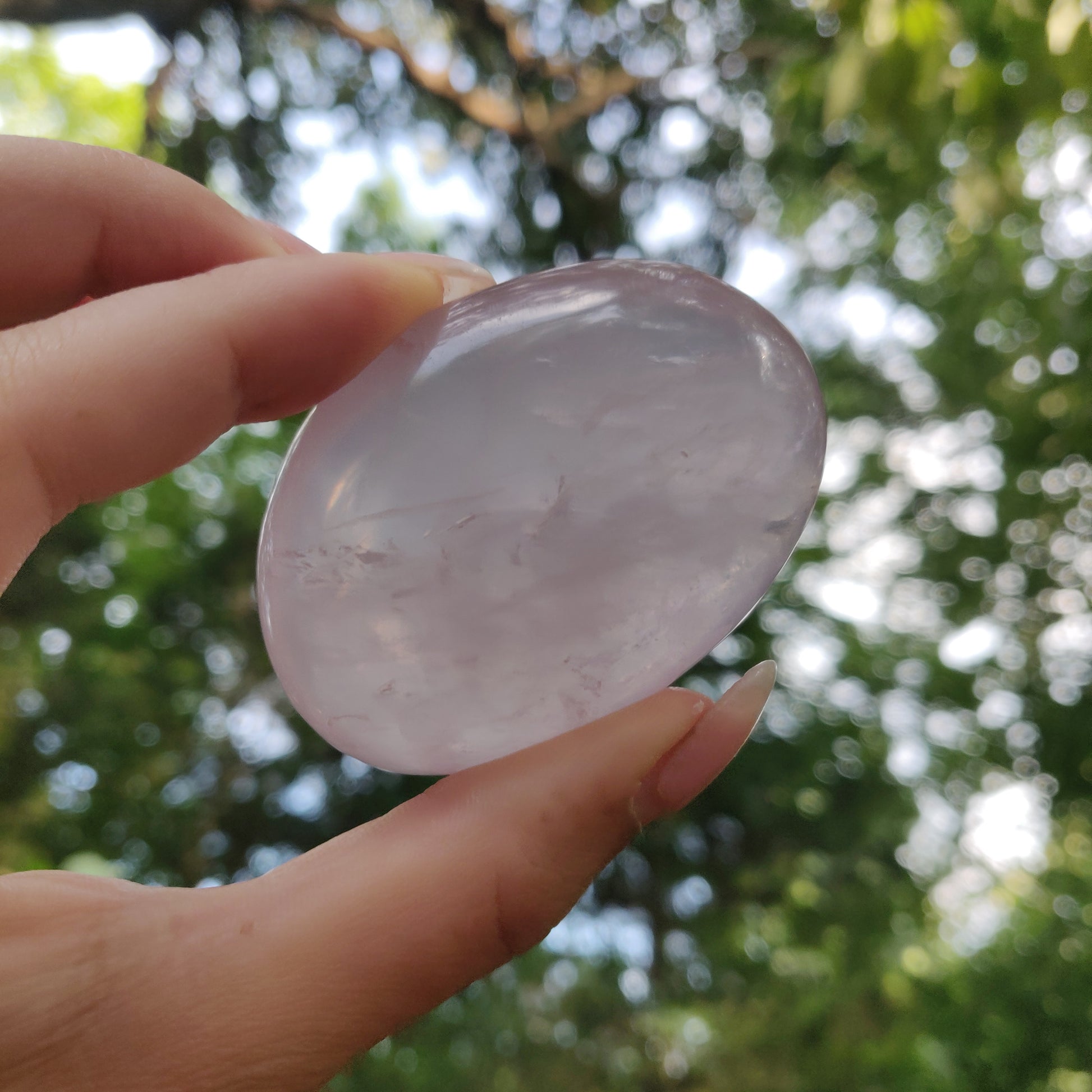 Rose Quartz Palm Stone, Star Rose Quartz (#3) - Simply Affinity